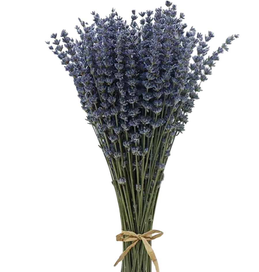 Lavender Dry Per Bunch