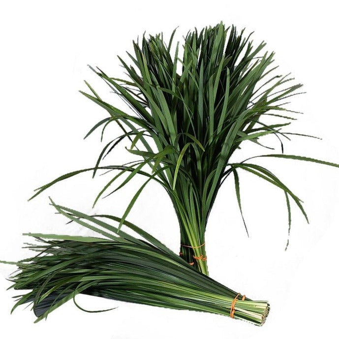 China Grass Bunch Per Stem