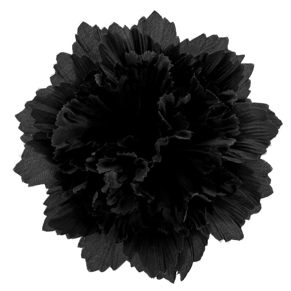 Chrysanthemum Black Per Stem