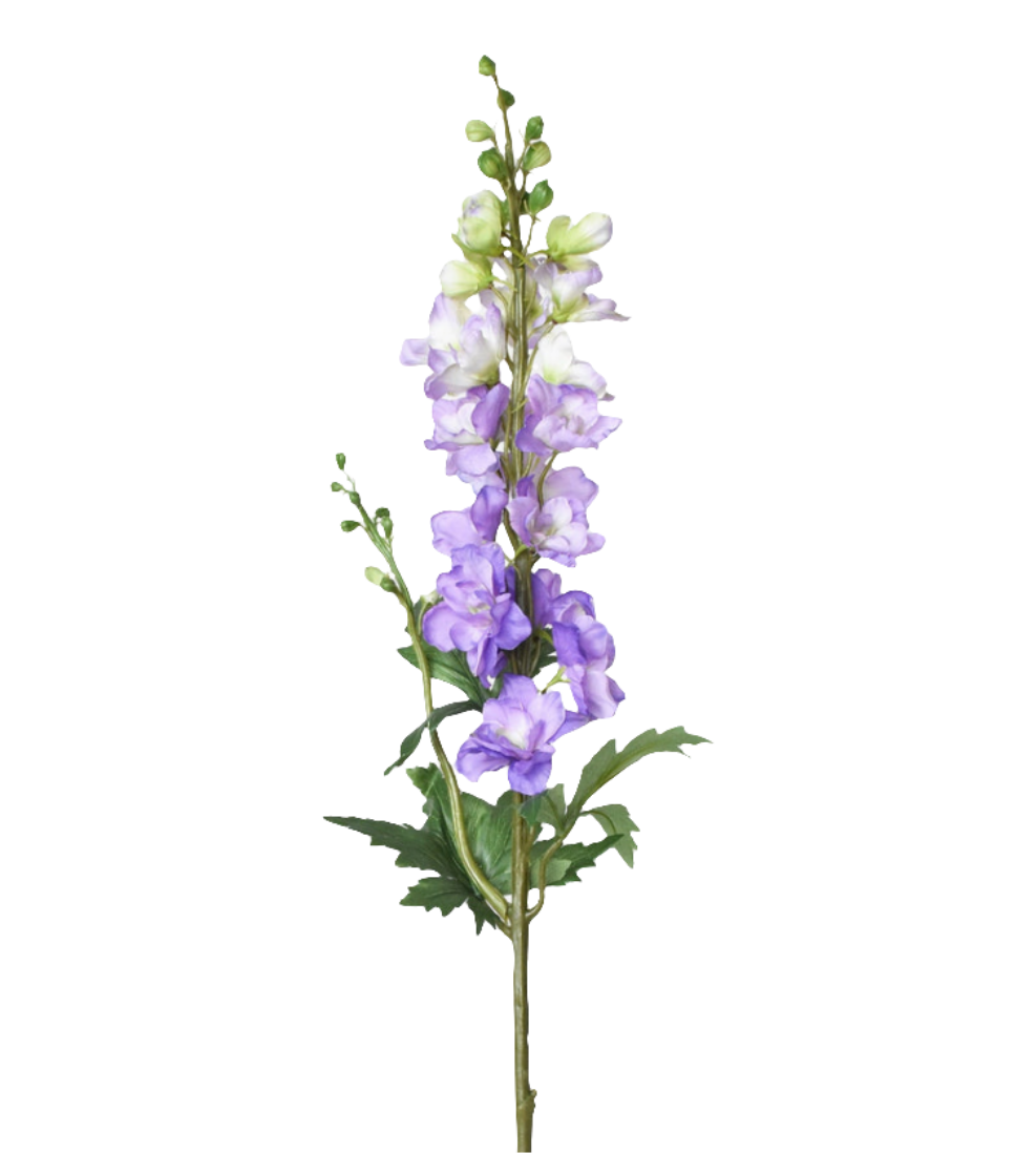 Delphinium Light Purple Per Stem