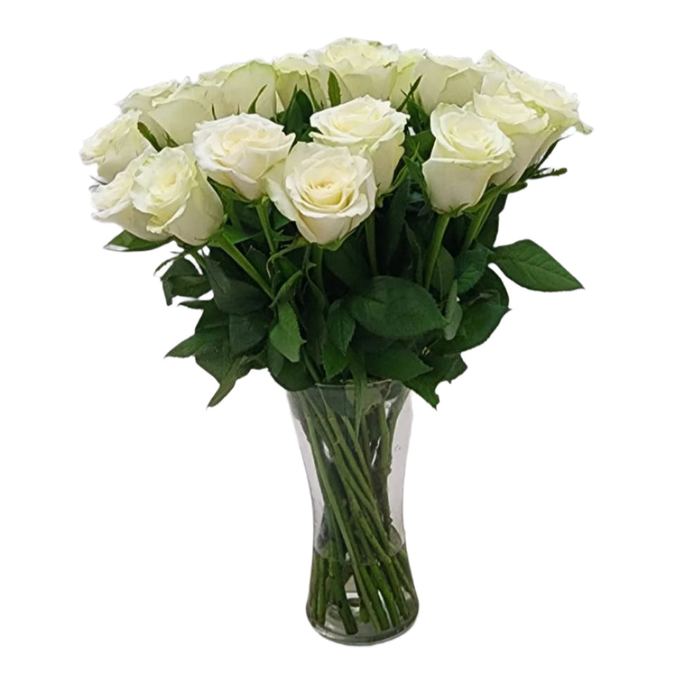 20 White roses in vase