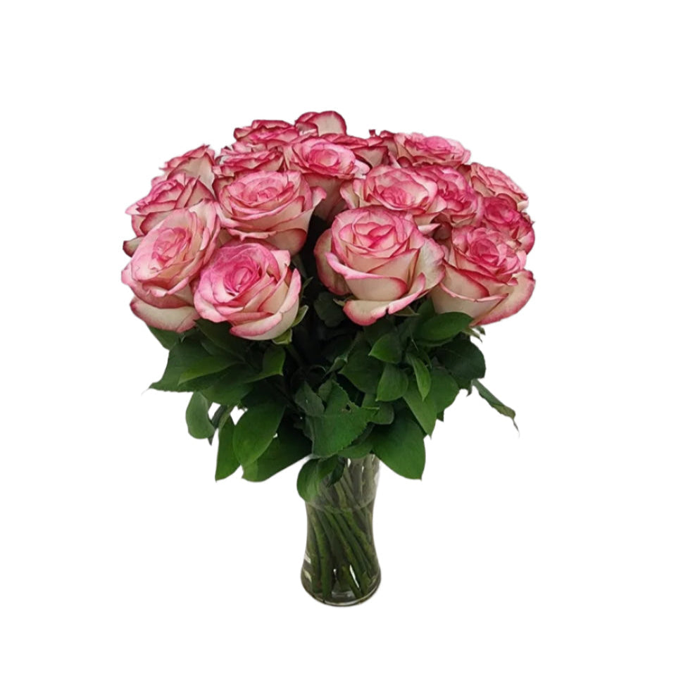 20 Cinderella in a vase