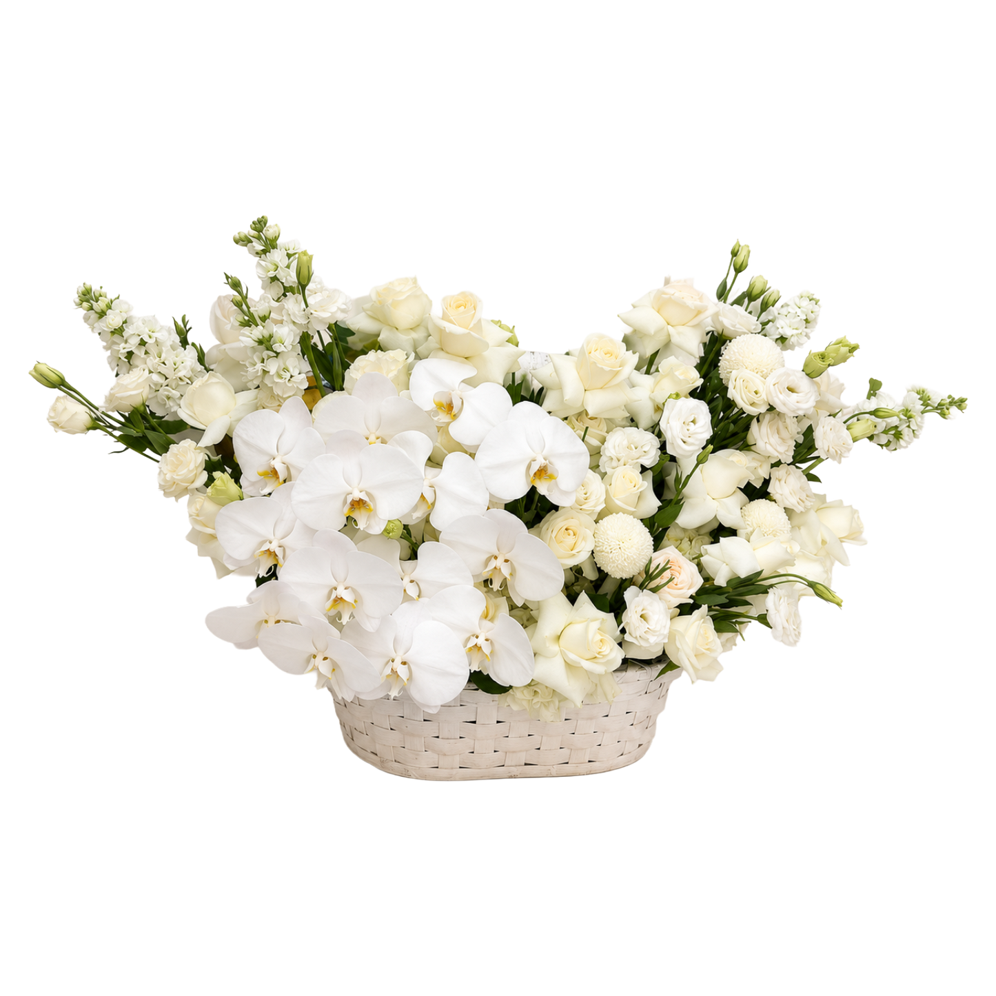 Ivory Symphony