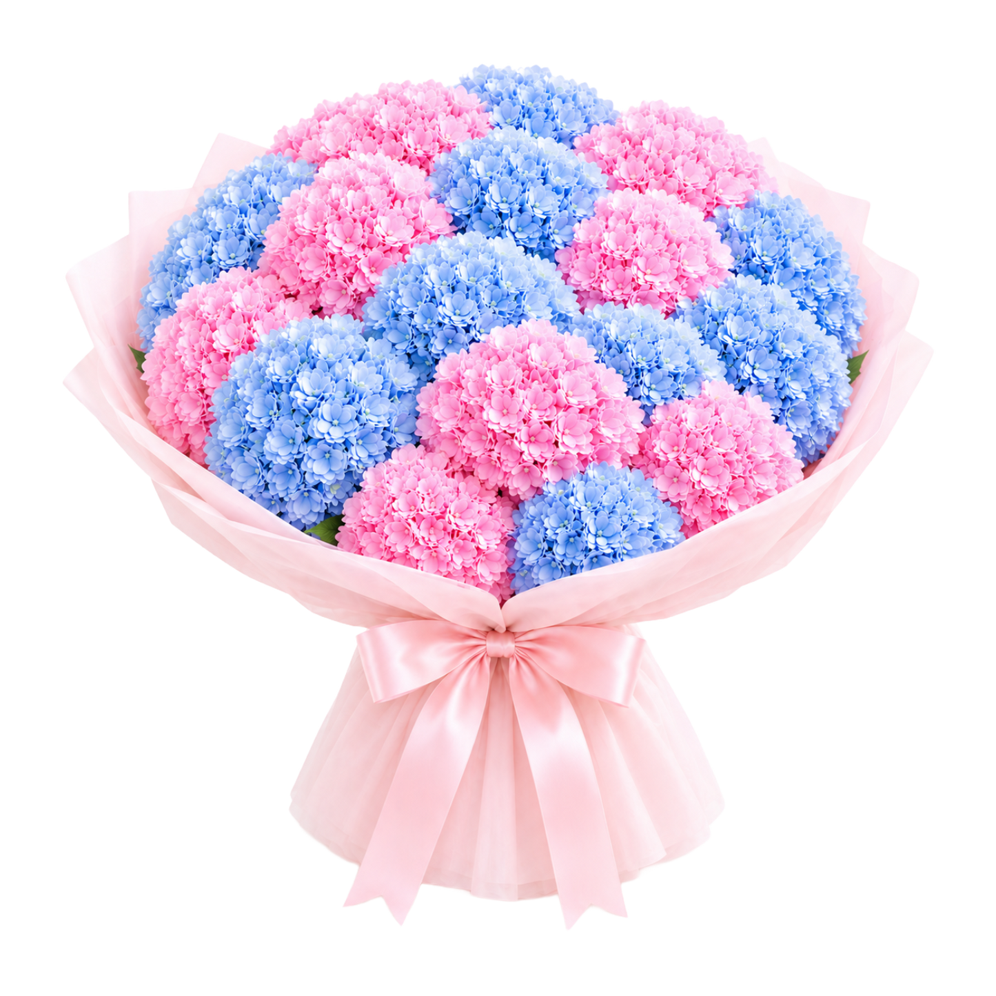 Mixed Hydrangea
