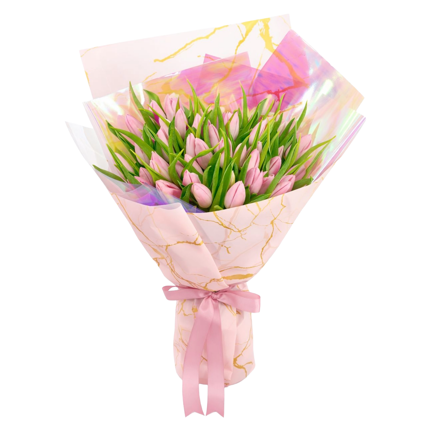 101 Light Pink Tulip