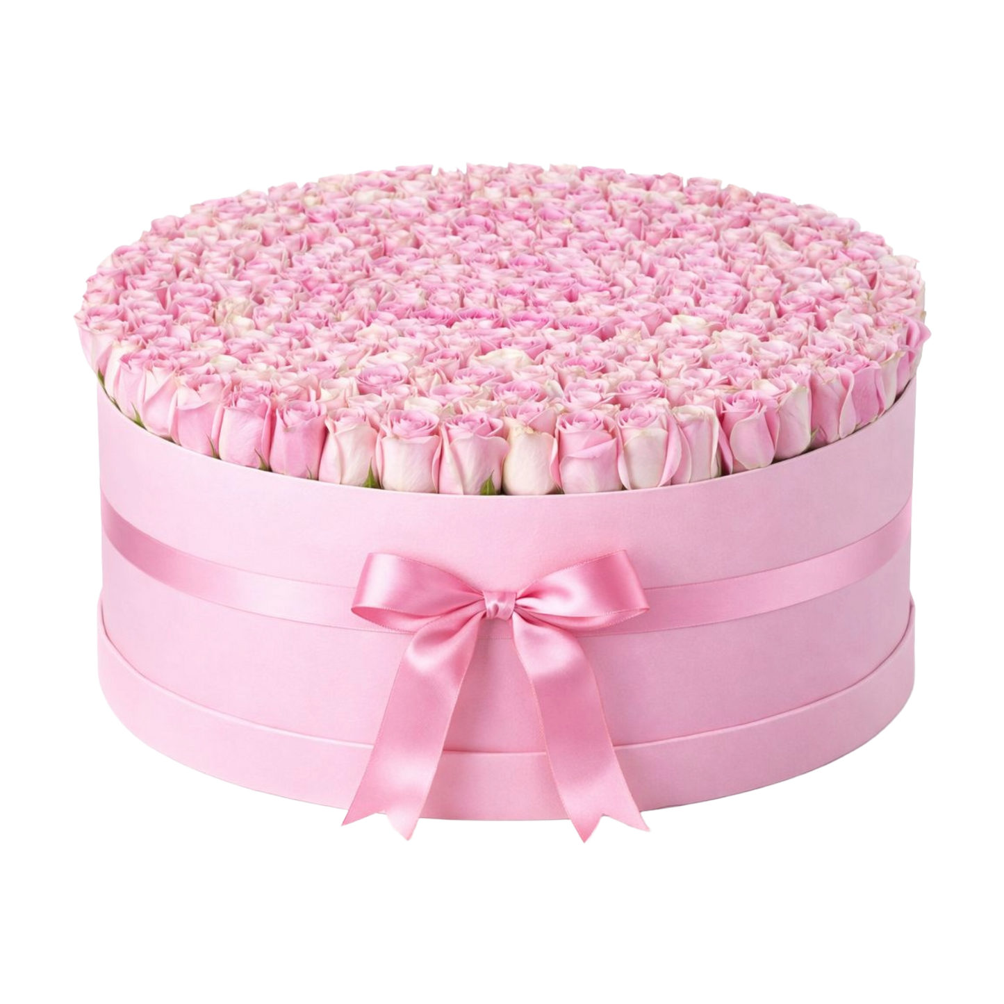 151-171 Light Pink Rose Box
