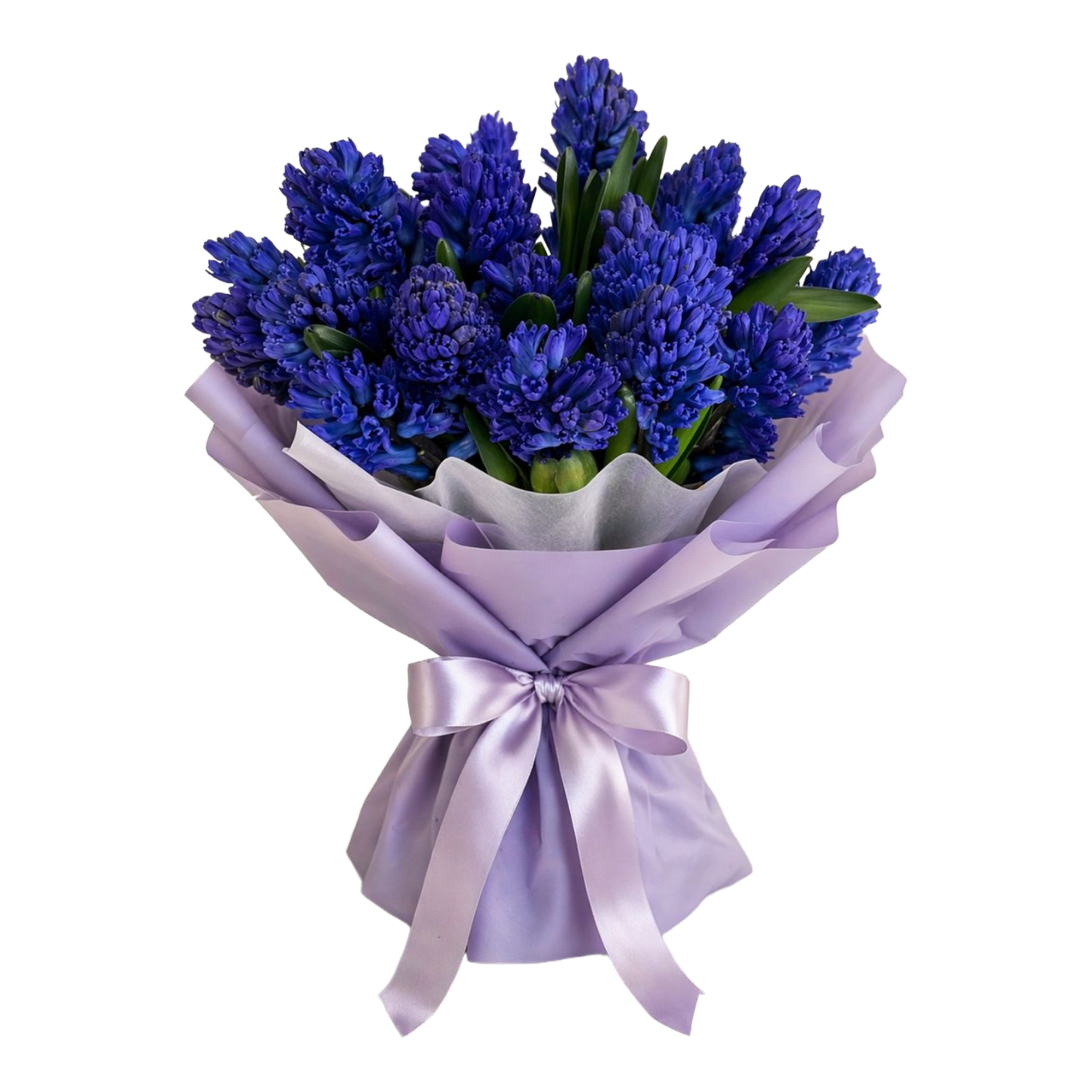 Hyacinthus Bouquet Blue