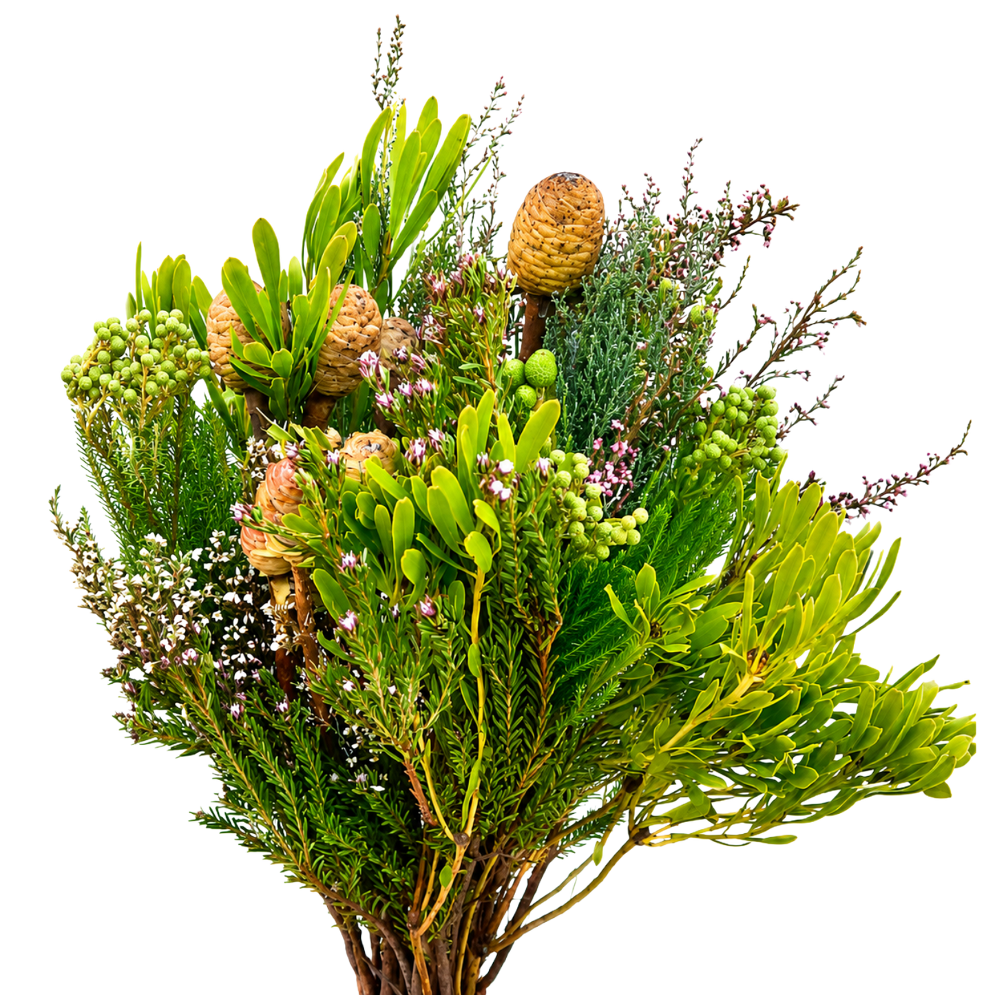 Cape Mix Bunch Per Bunch