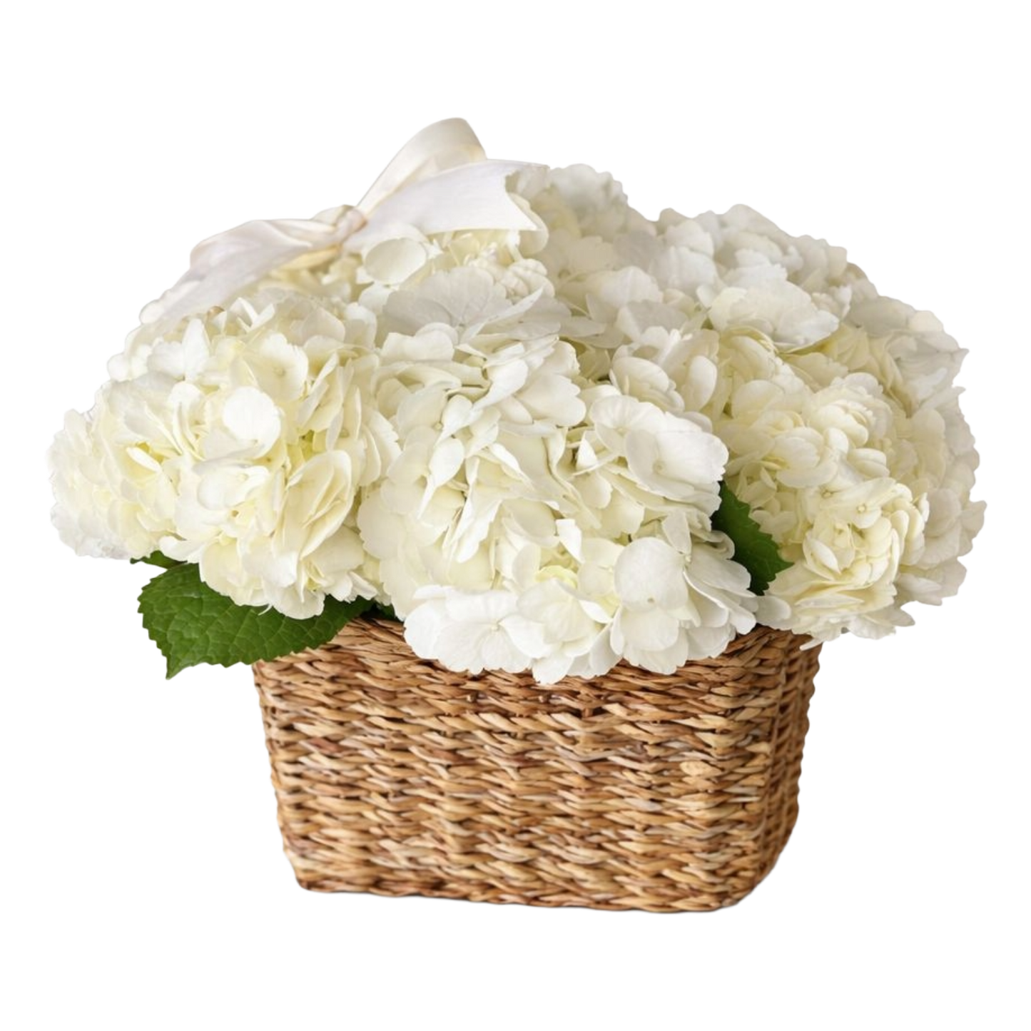 White Hydrangea Basket