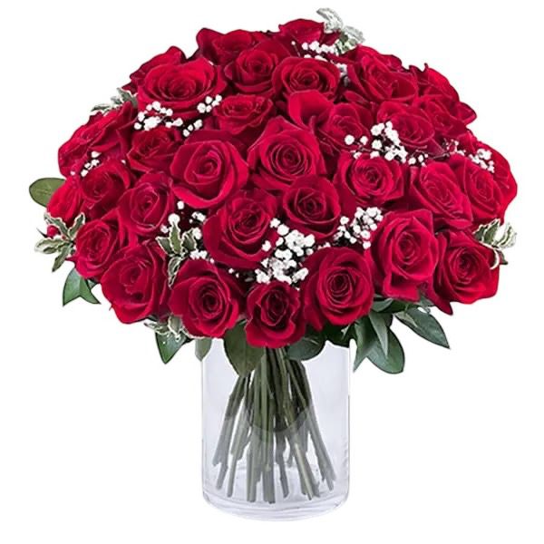 51 Red Roses in a vase with gypso