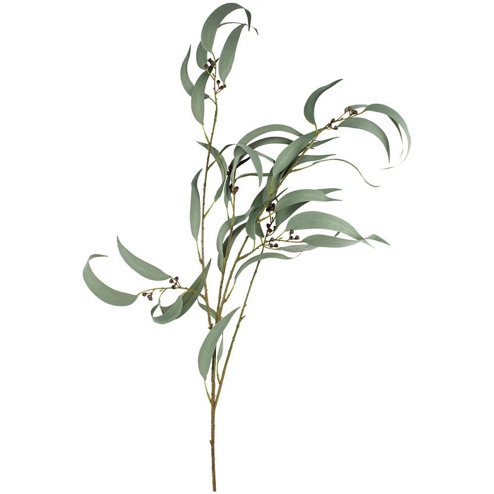 Eucalyptus Willows Per Stem