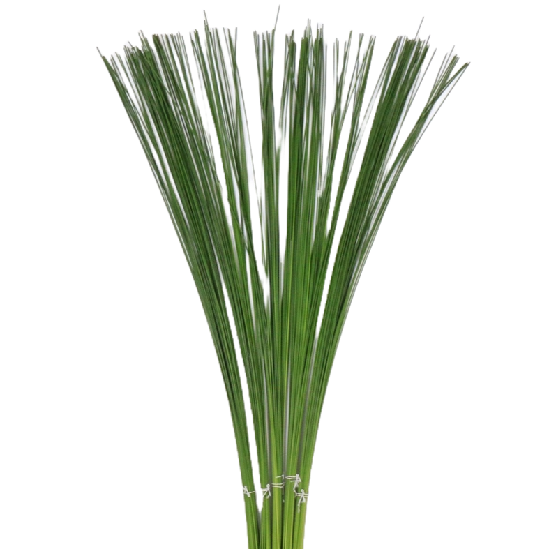 Flexigrass Per Stem