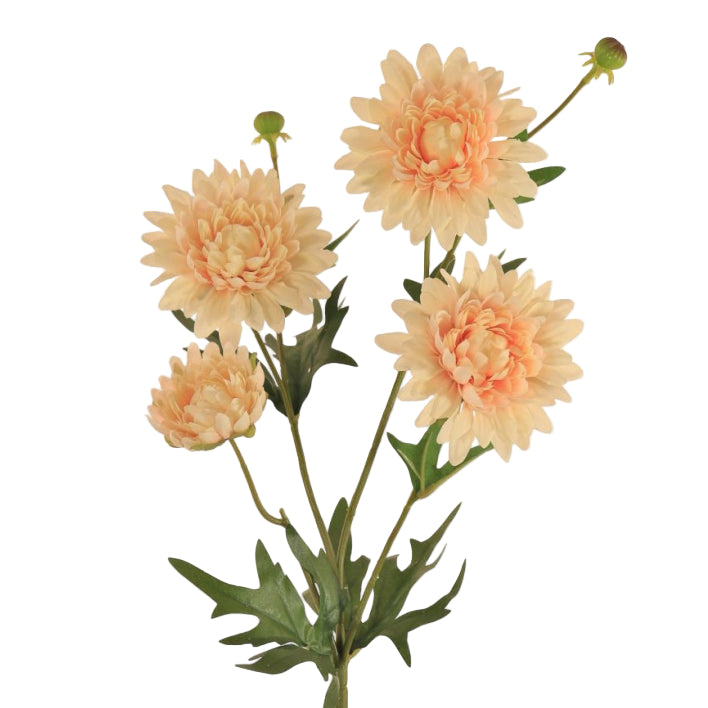 Chrysanthemum Sprays Peach Per Stem
