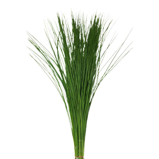 Steel Grass per Bunch