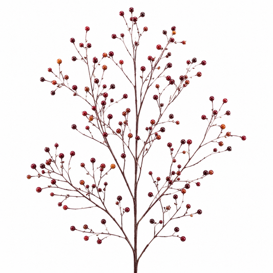 Talinum Long John Per Stem