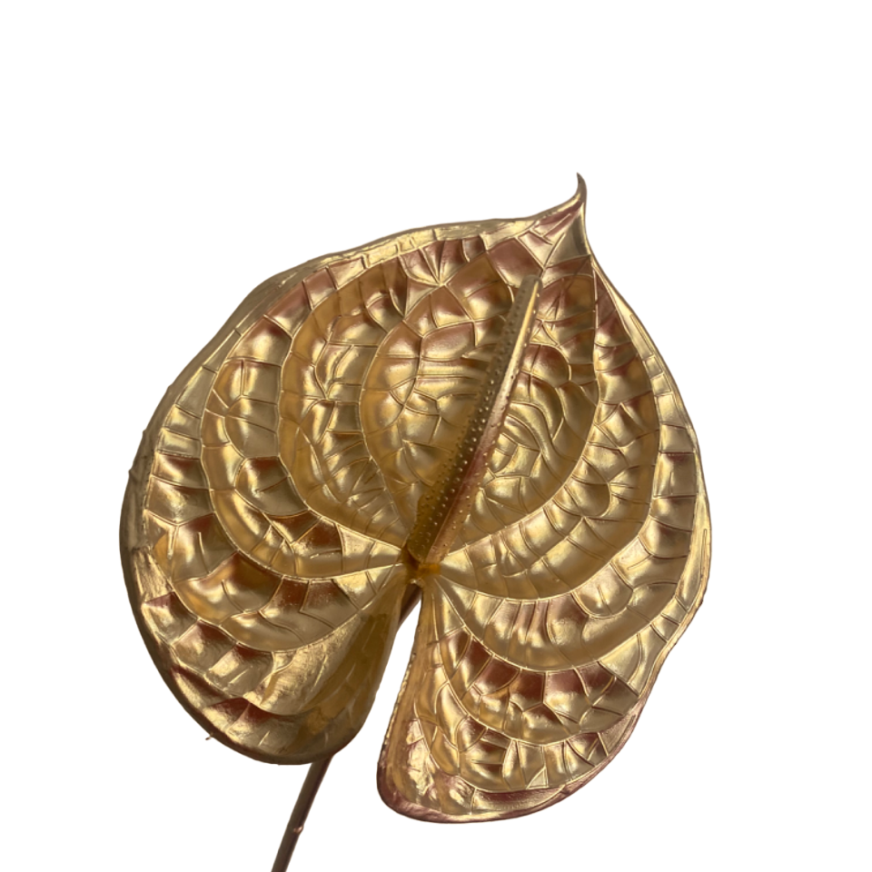 Anthurium Dyed Gold