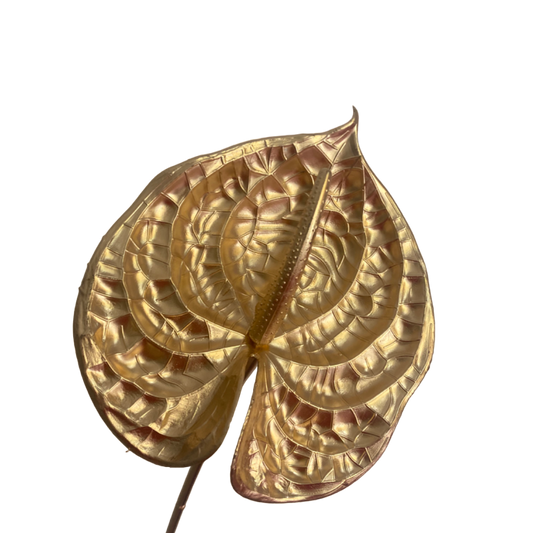 Anthurium Dyed Gold