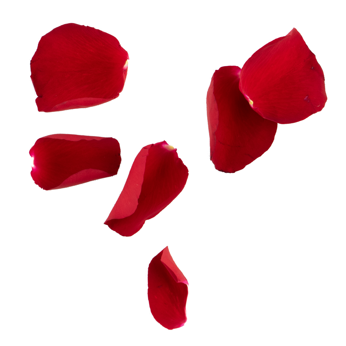Red Rose Petals 0.5 Kg