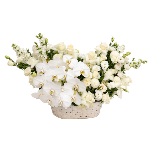 Ivory Symphony