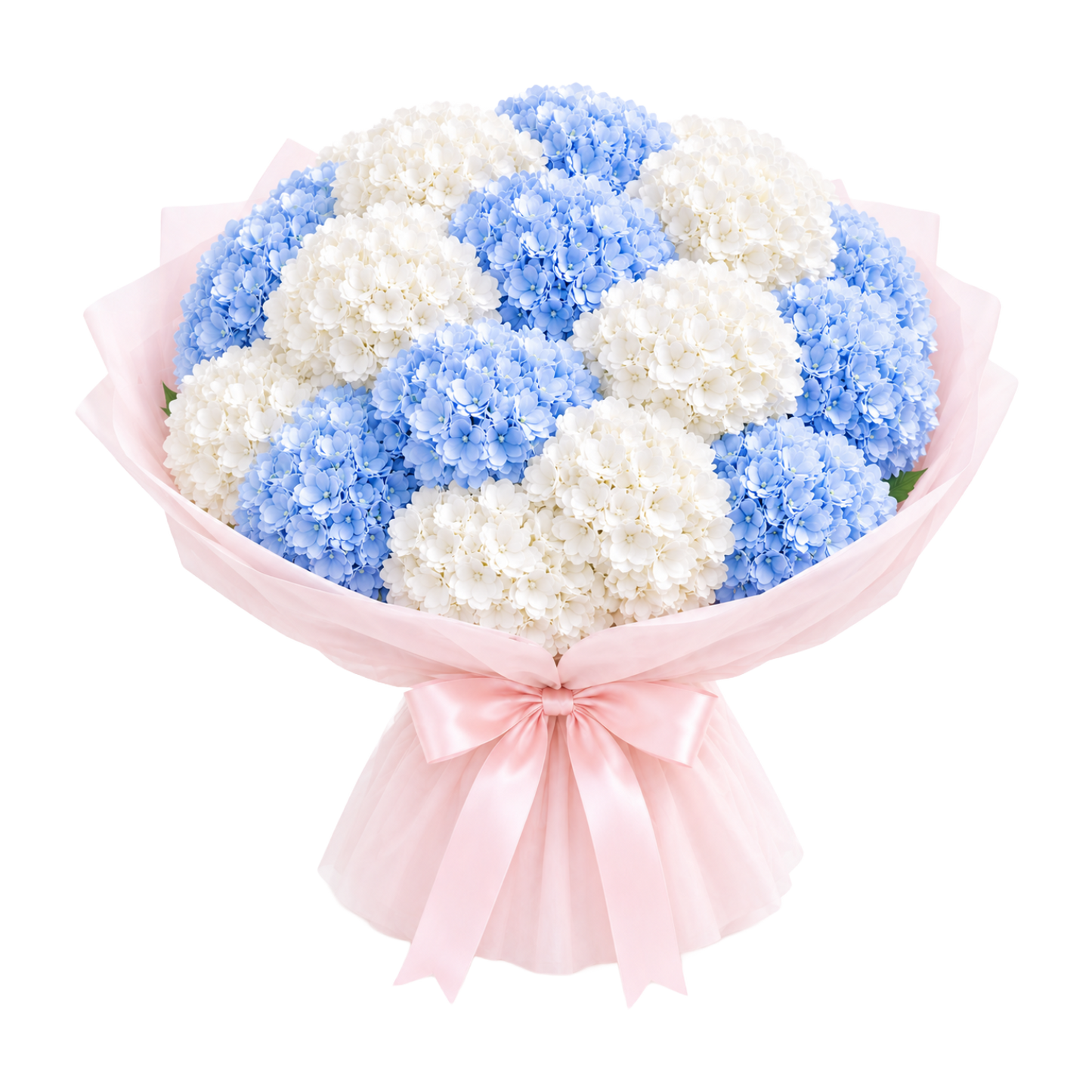 Mixed Hydrangea