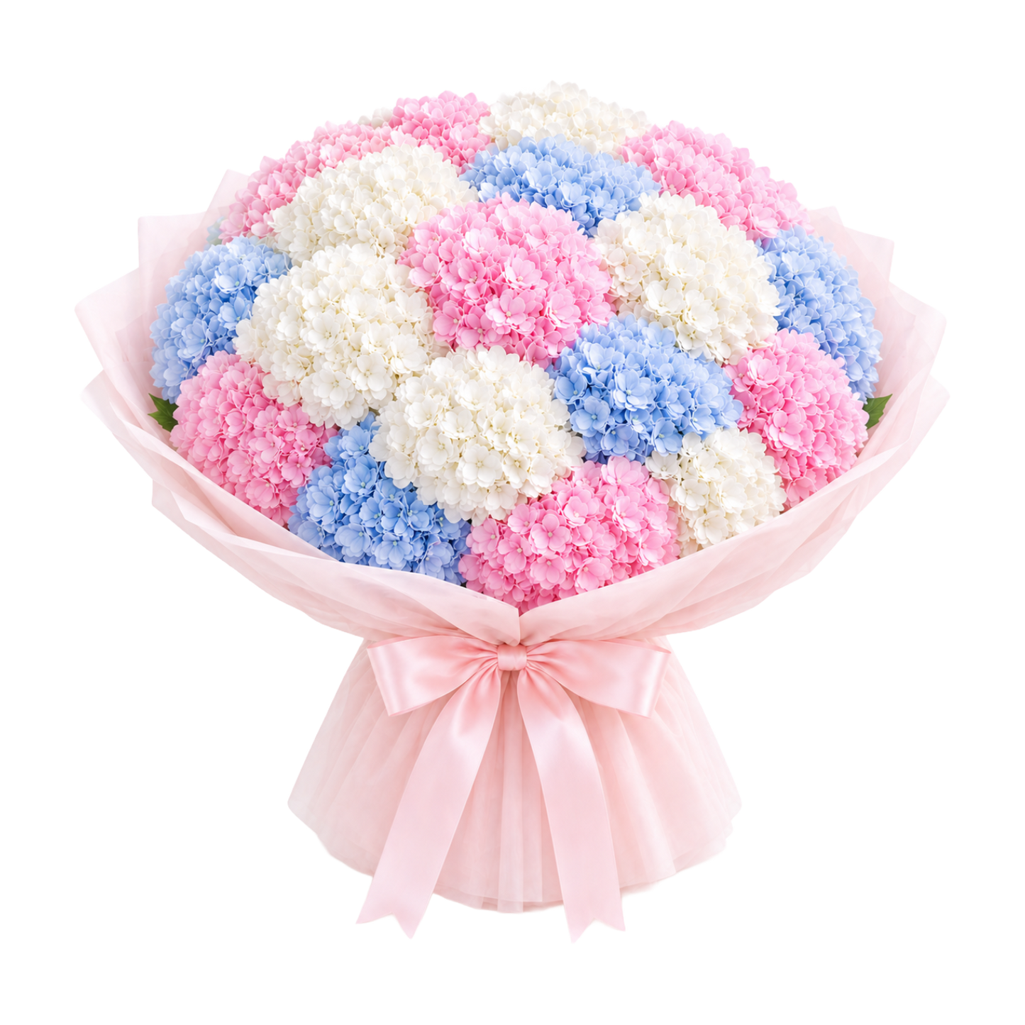 Mixed Hydrangea