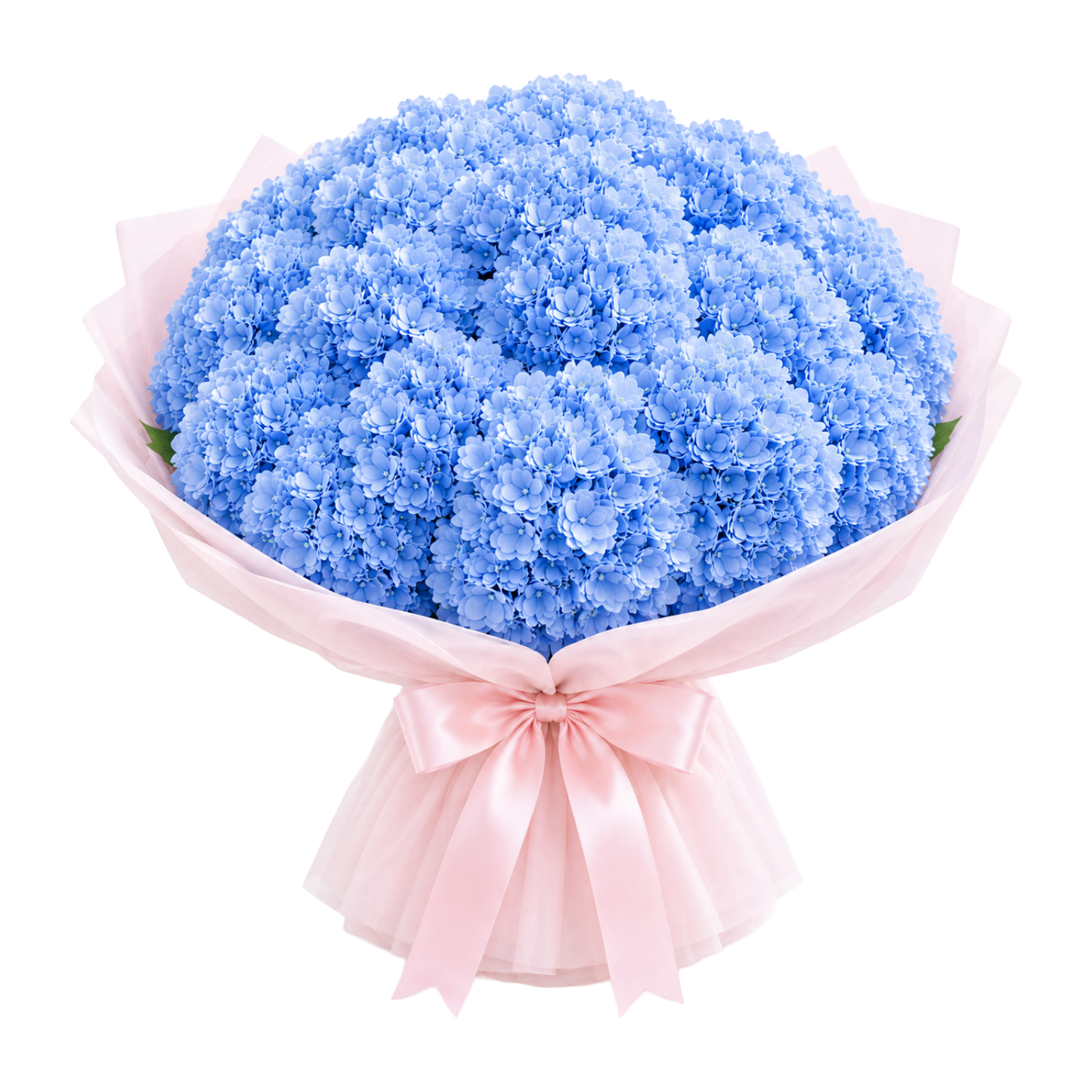 Mixed Hydrangea
