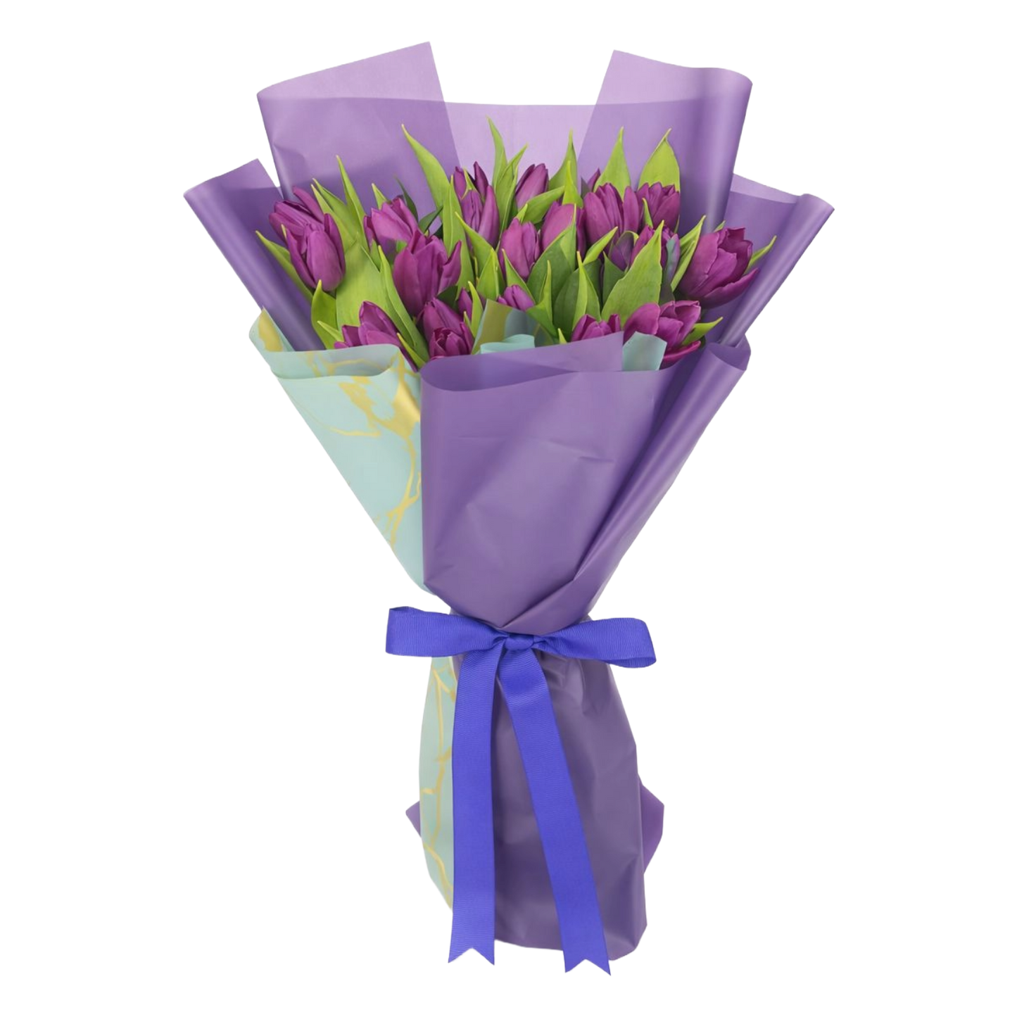 21 Purple Tulip
