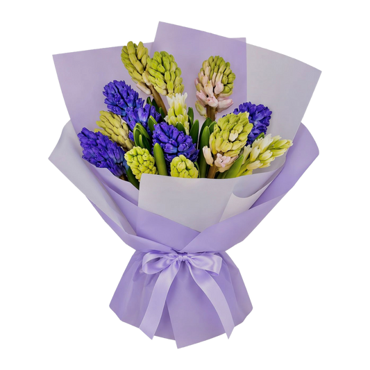 Hyacinthus Bouquet Mix