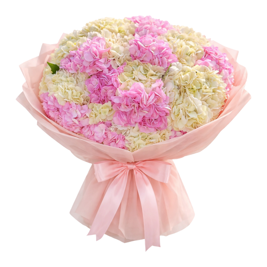Mixed Hydrangea