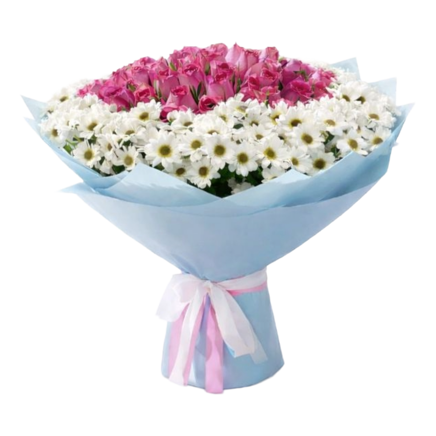 Rose and Chrysanthemum