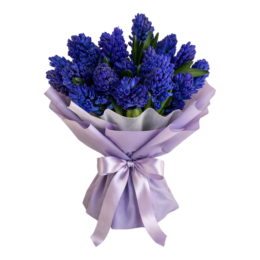 Hyacinthus Bouquet Blue