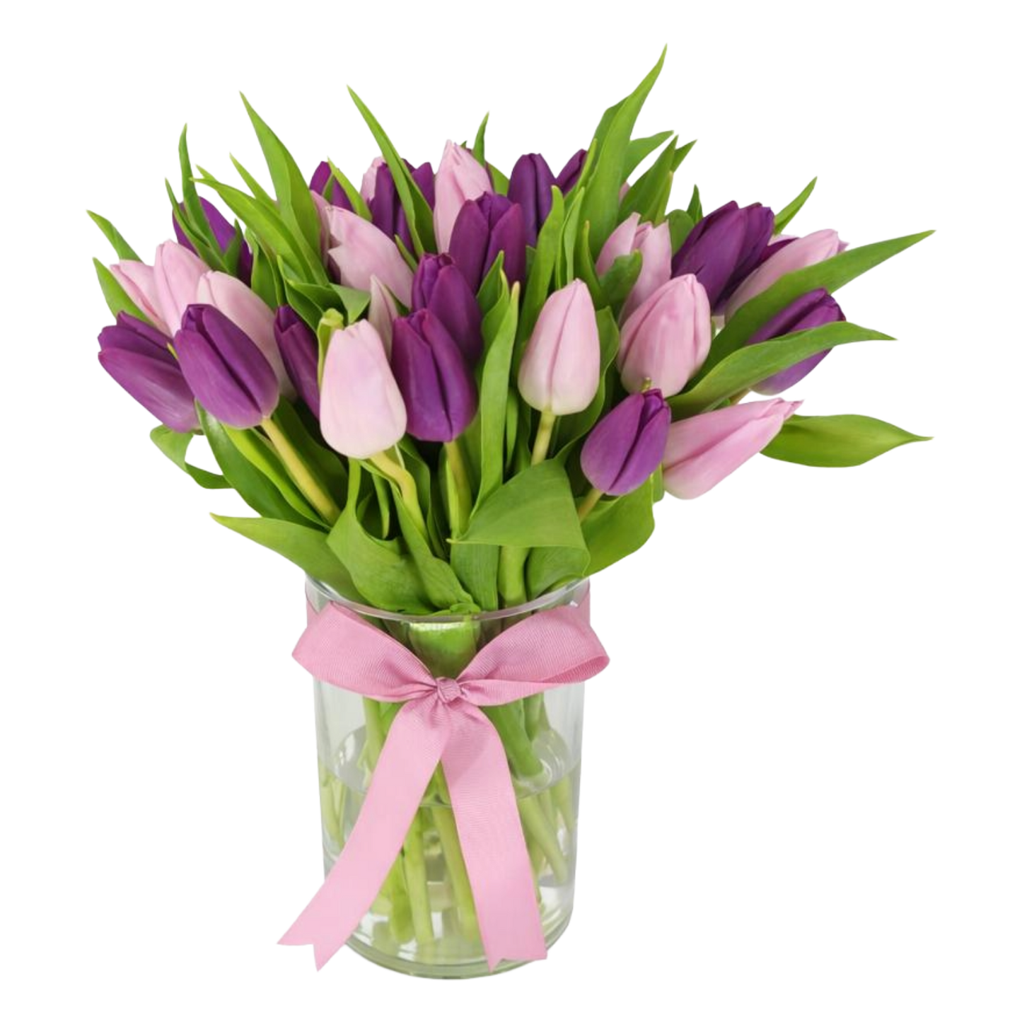 51 Tulips in Vase