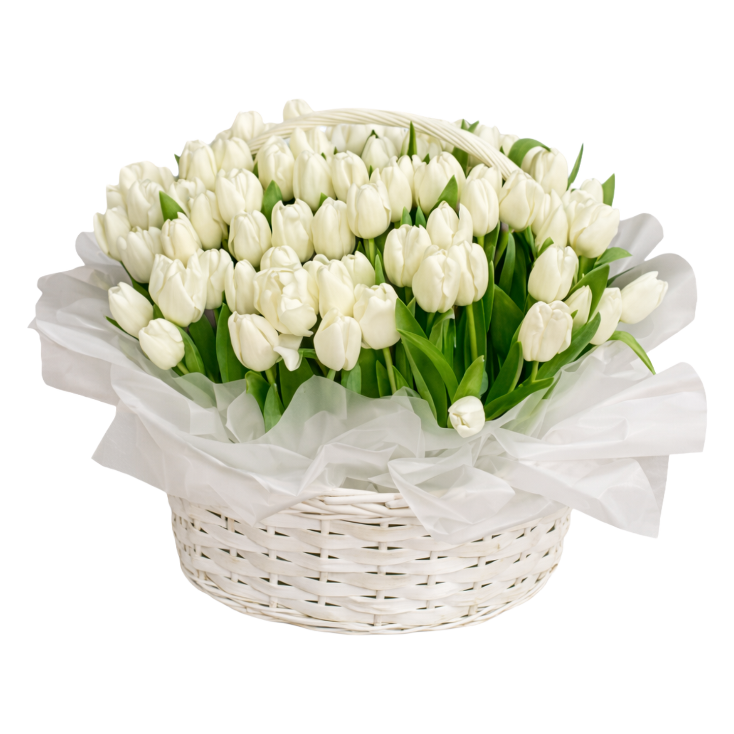 151 White Tulip Basket