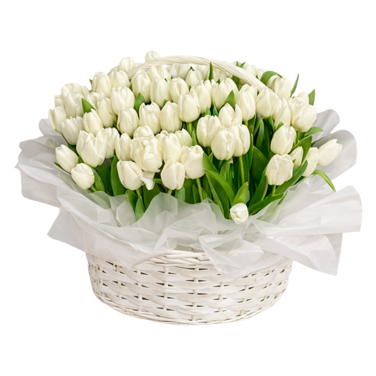 151 White Tulip Basket