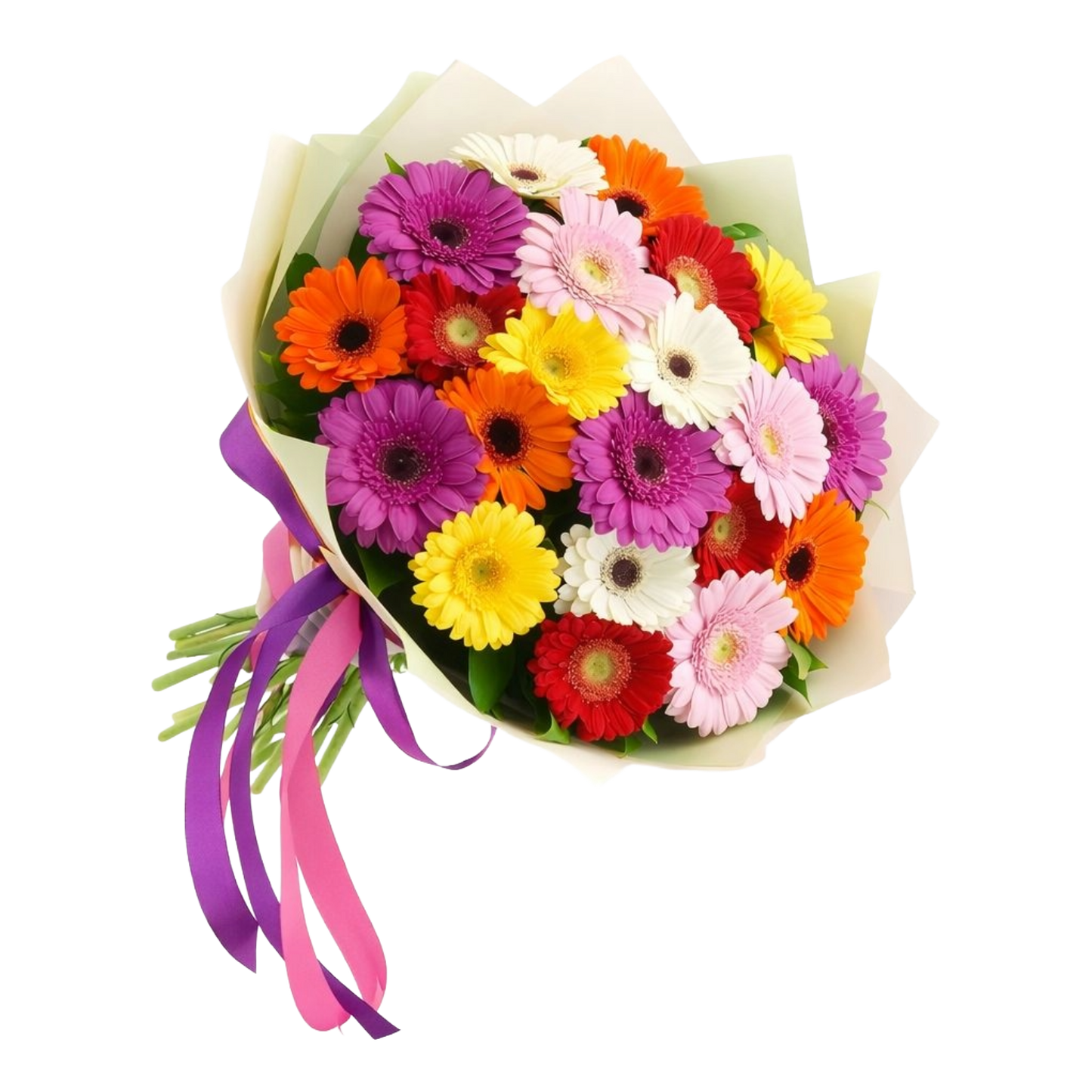 19 Mixed Gerbera
