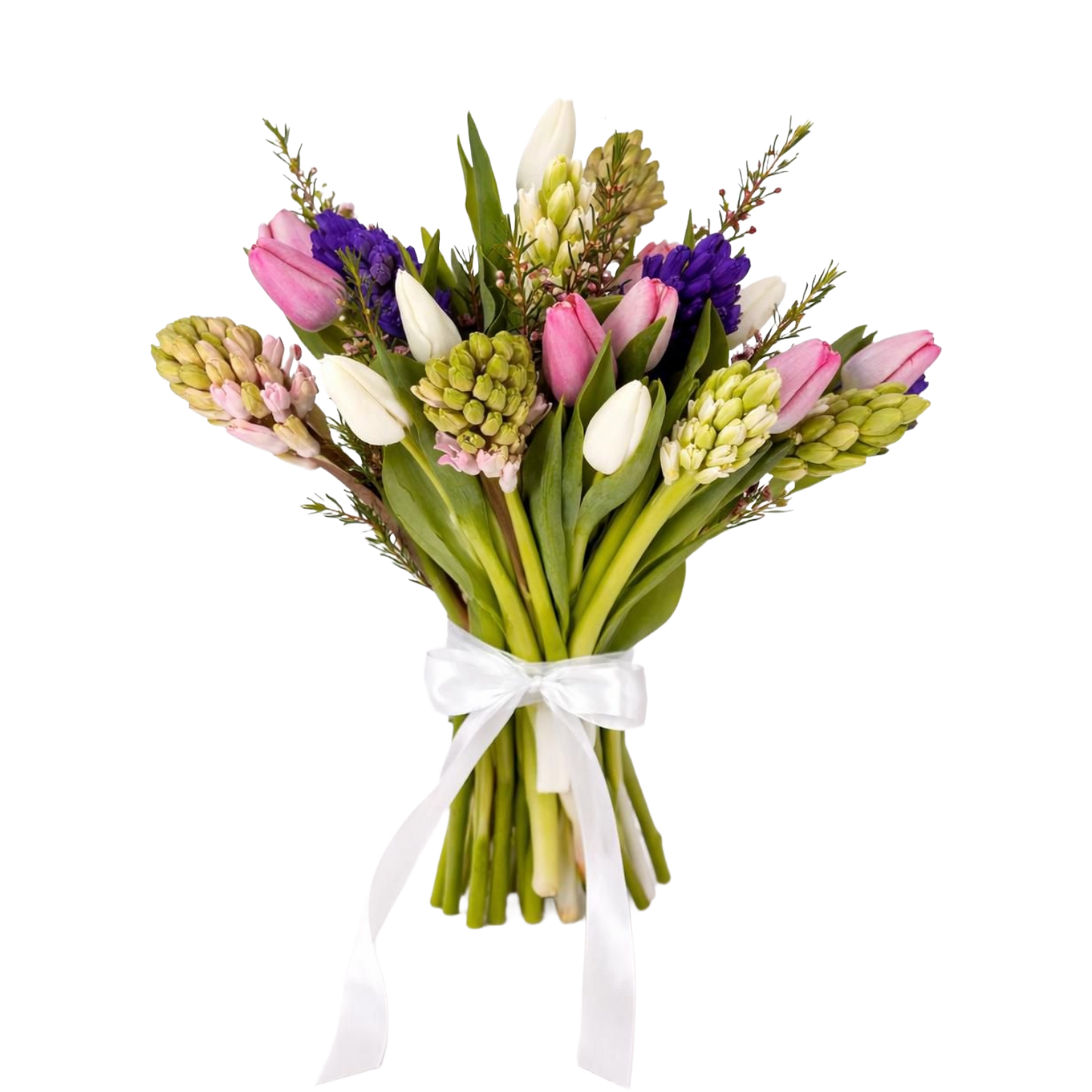 Hyacinthus Tie