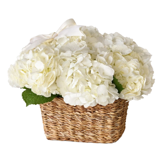 White Hydrangea Basket