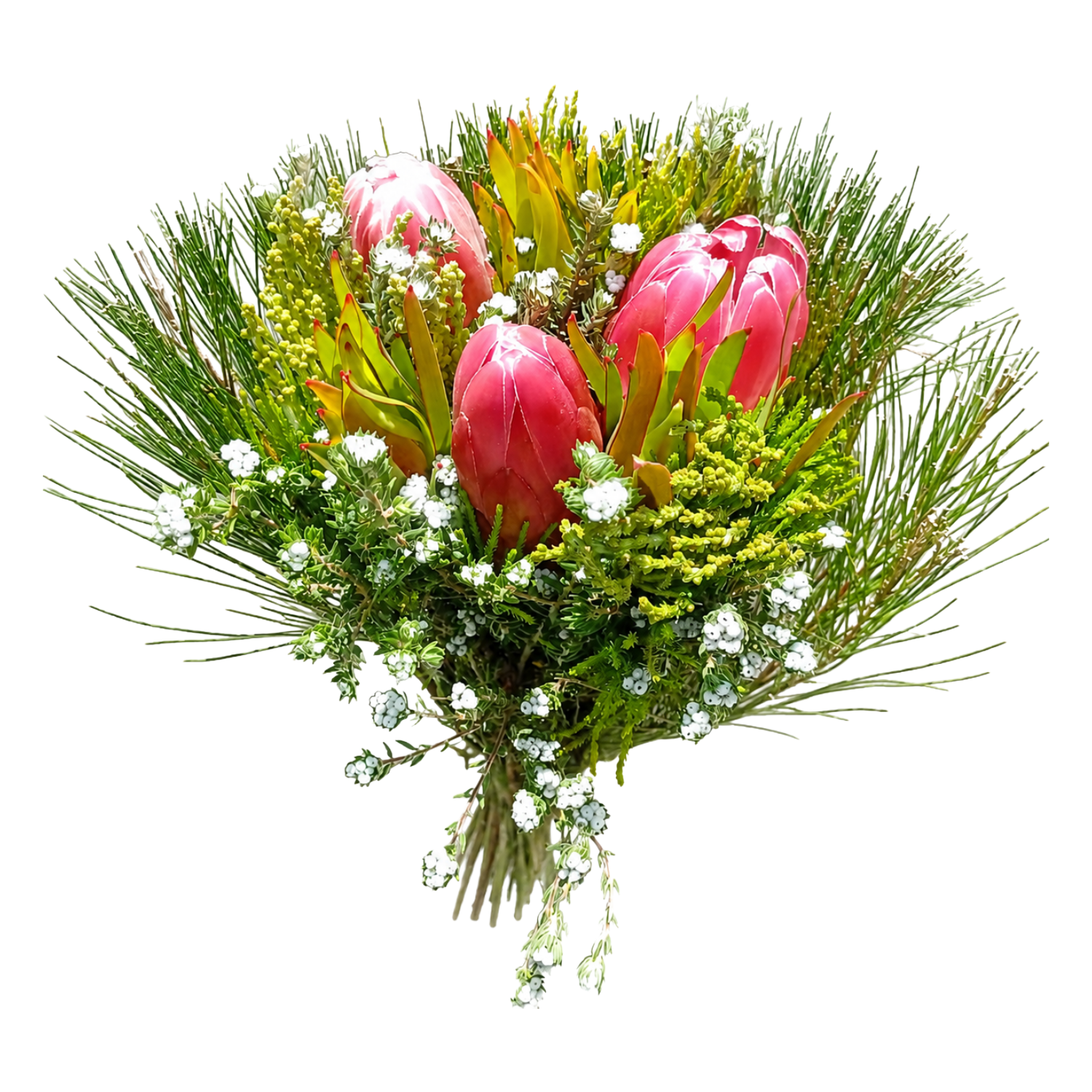 Cape Mix with Protea Per Bunch – Reemflora