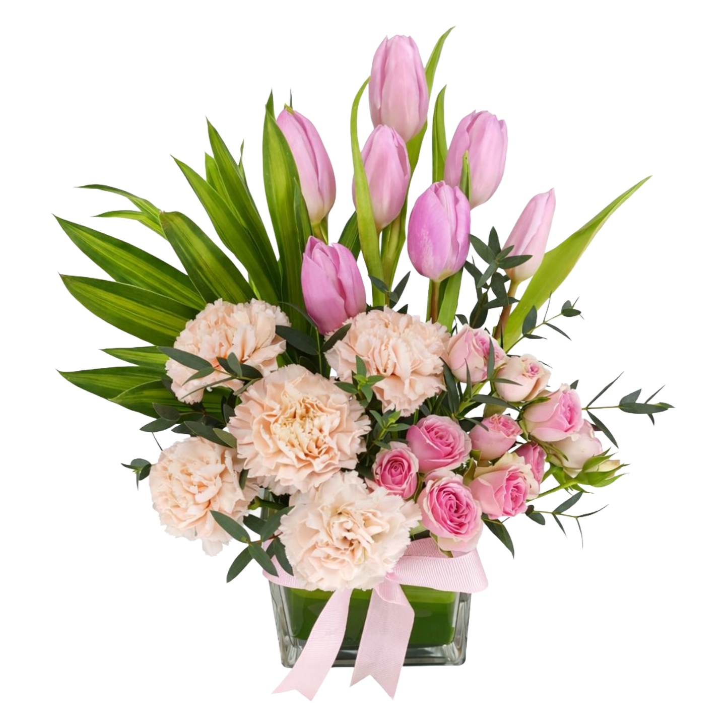 Tulip Delight