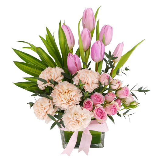 Tulip Delight