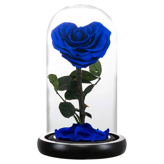 Preserved Blue Rose