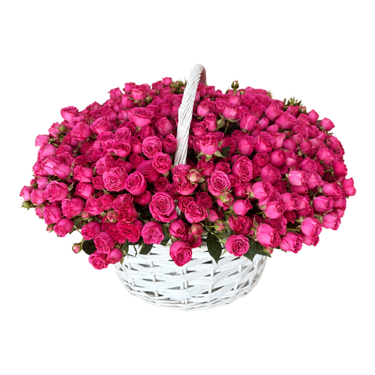 151 Hot Pink Spray Rose Basket