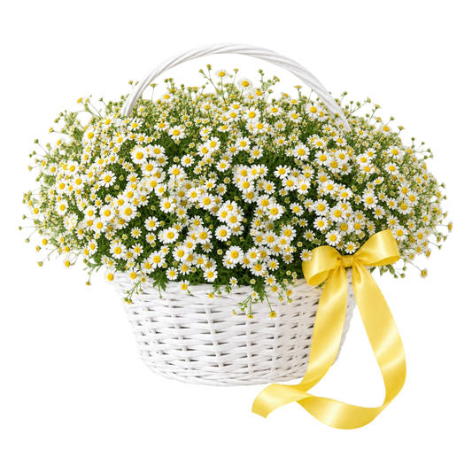 Daisy Sunshine Basket