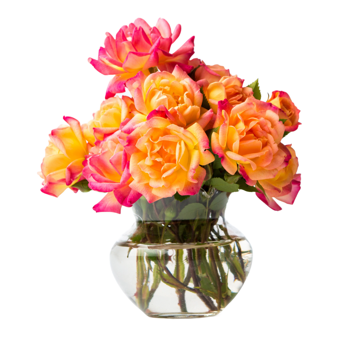 Standard Flowers