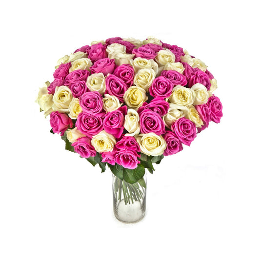 100/50/25 Purple and White Rose