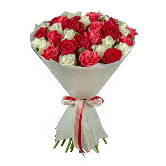 Summer Evening 31/61/101 Red and White