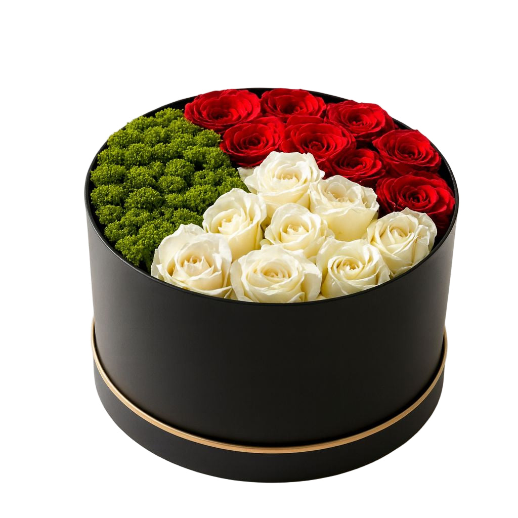 Eid Al Etihad عيد الاتحاد Collection