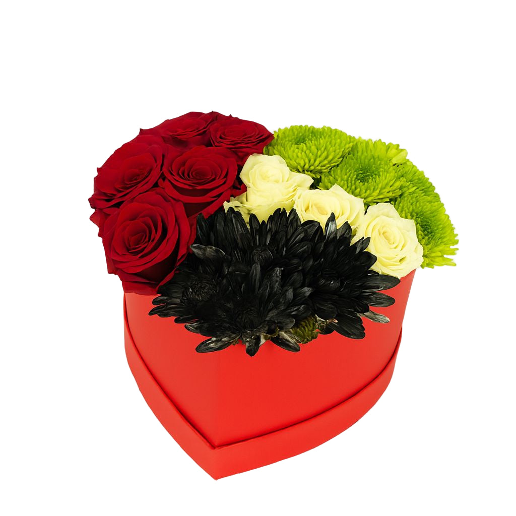 Eid Al Etihad عيد الاتحاد Collection 3