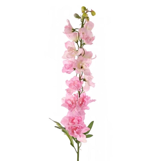 Delphinium Pink Per Stem