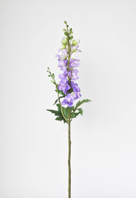 Delphinium light purple
